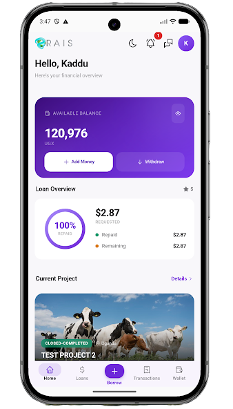The RAIS app showing a borrower's wallet balance, loan overview and current project